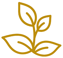 plant icon
